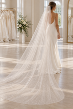 Load image into Gallery viewer, Glitter Wedding Veil | Single Tier Sparkle Veil | 75–500 cm | 6 Colours