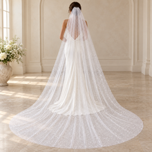 Load image into Gallery viewer, Pink Glitter Wedding Veil – Blush, Nude & Bridal Colours | 75–500 cm