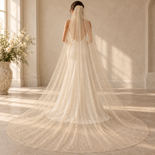 Load image into Gallery viewer, Glitter Wedding Veil | Single Tier Sparkle Veil | 75–500 cm | 6 Colours