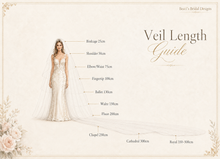 Load image into Gallery viewer, Luxury Crystal Beaded Bridal Veil - With Blusher and Comb