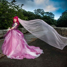 Load image into Gallery viewer, 2024 Trend Pastel Pink Glitter Veil