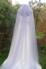 Load image into Gallery viewer, 2024 Trend Pastel Veil