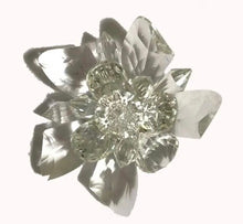 Load image into Gallery viewer, Crystal Shoe Clips