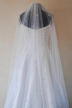 Load image into Gallery viewer, Pearl & Rhinestone Veil