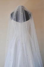 Load image into Gallery viewer, Pearl & Rhinestone Veil