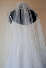 Load image into Gallery viewer, Pearl & Rhinestone Veil