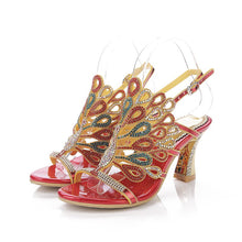 Load image into Gallery viewer, Peacock