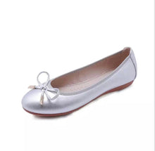 Load image into Gallery viewer, Folding Flat Shoes