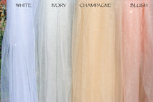 Load image into Gallery viewer, Glitter Cathedral Length Veil