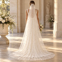 Load image into Gallery viewer, Black or Ivory Celestial Wedding Veil – Gold Moon &amp; Star Tulle Veil
