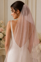 Load image into Gallery viewer, Pastel Pink Glitter Wedding Veil – Sparkling Cathedral &amp; Royal Length Bridal Veil
