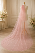 Load image into Gallery viewer, Glitter Wedding Veil | Single Tier Sparkle Veil | 75–500 cm | 6 Colours
