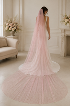 Load image into Gallery viewer, Pastel Pink Glitter Wedding Veil – Sparkling Cathedral &amp; Royal Length Bridal Veil

