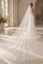 Load image into Gallery viewer, Glitter Wedding Veil | Single Tier Sparkle Veil | 75–500 cm | 6 Colours
