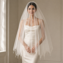 Load image into Gallery viewer, Luxury Crystal Beaded Bridal Veil - With Blusher and Comb
